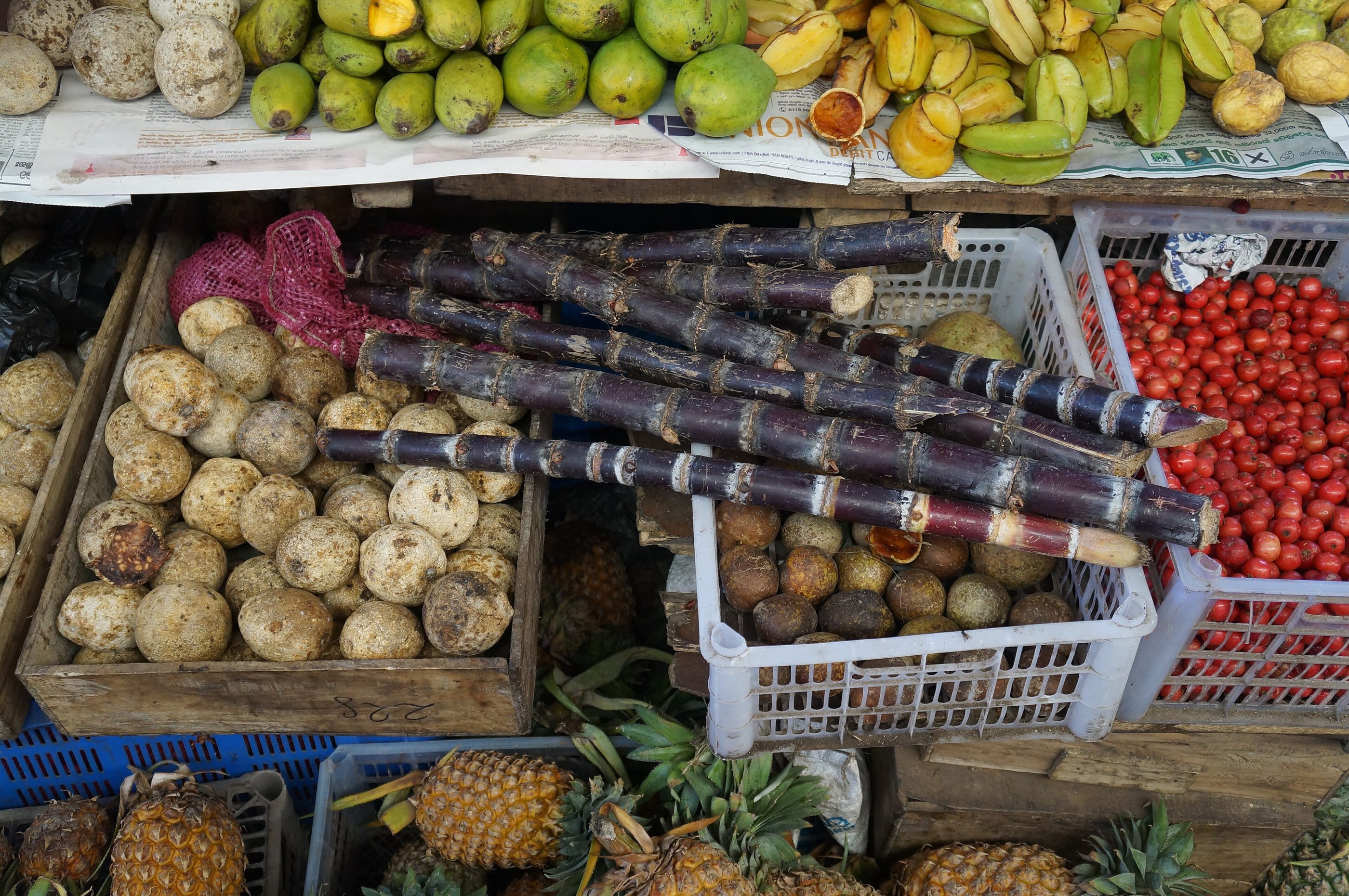 Sugarcane, potatoes, tomatoes and pineapples in crates at the Colombo vegetable market.